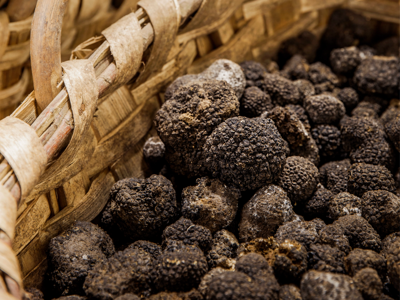 Trøfler i en kurv, klare til å bli solgt eller brukt i matlaging.