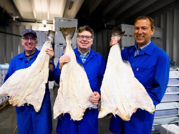 Fire personer i blå arbeidsklær som holder opp store, tørkede fisker i en fabrikk eller lagerhall.