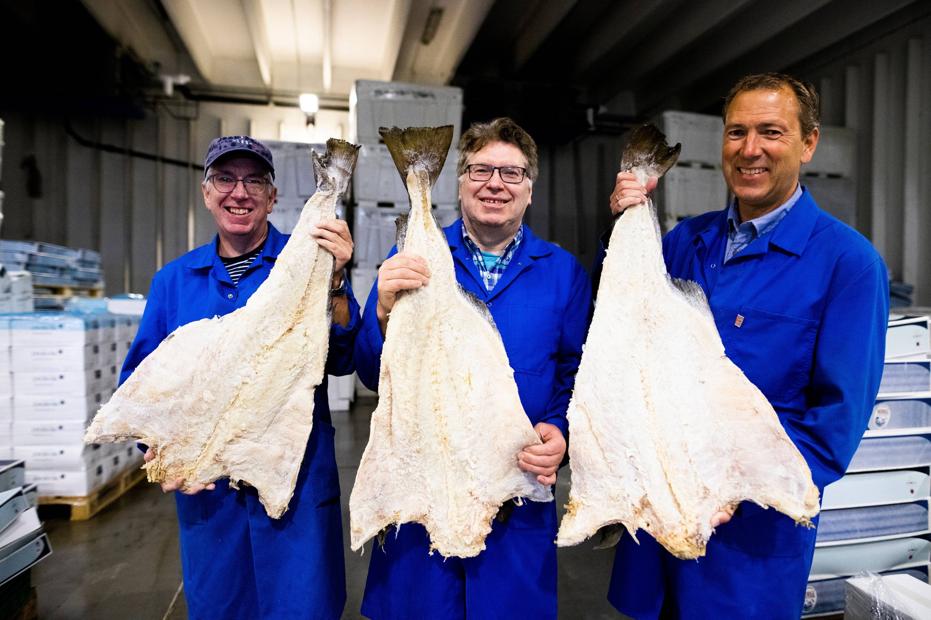 Fire personer i blå arbeidsklær som holder opp store, tørkede fisker i en fabrikk eller lagerhall.