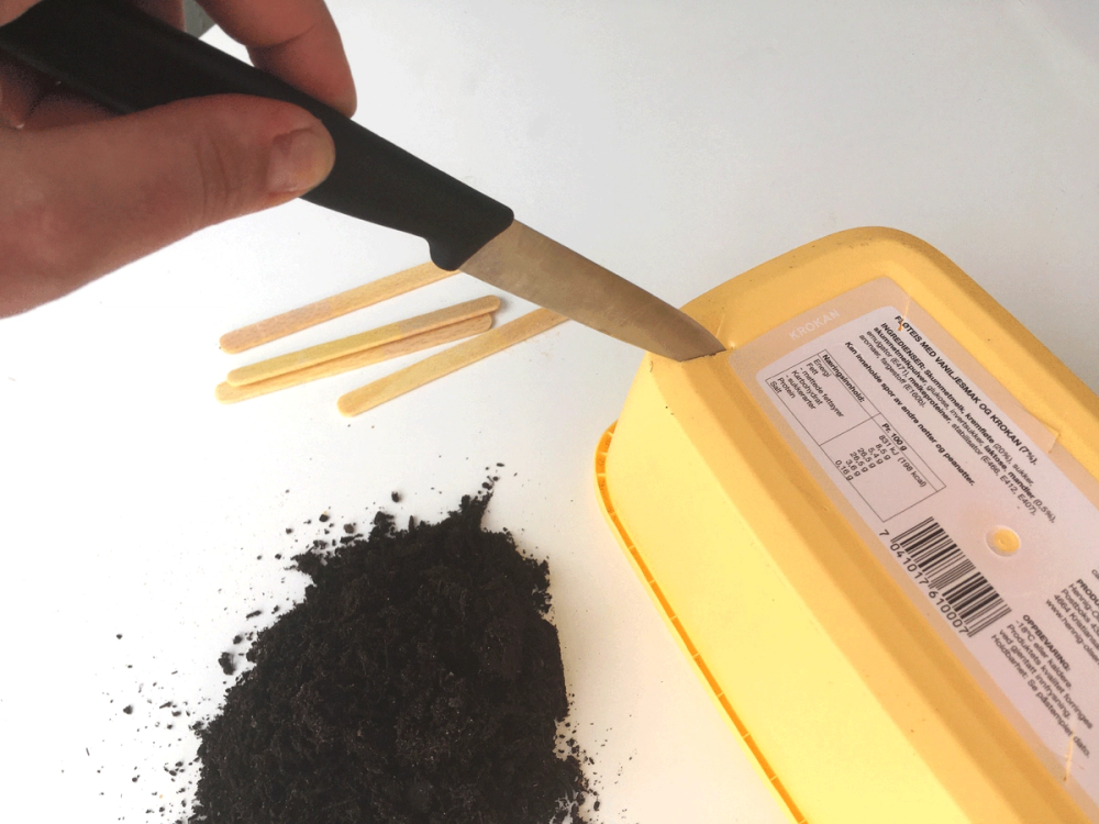 En person bruker en kniv til å skjære i en plante som ligger i en isboks, med svart jord eller pulver ved siden av.