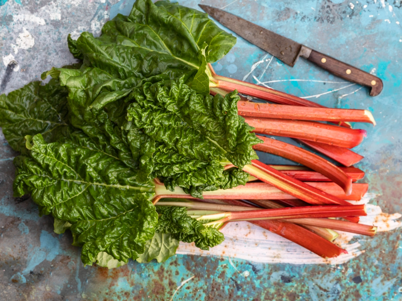 Rabarbrastilker med grønne blader og rosa stilker ligger på en blå overflate.