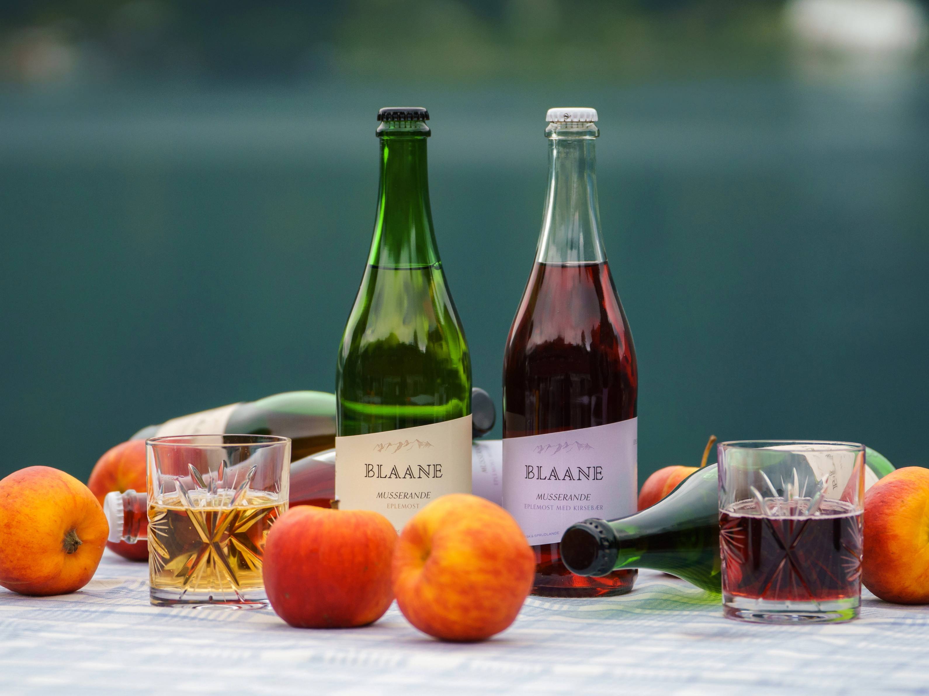 To flasker med eplemost og to glass med eplemost, omgitt av flere friske epler, på et utendørs bord ved vannet.