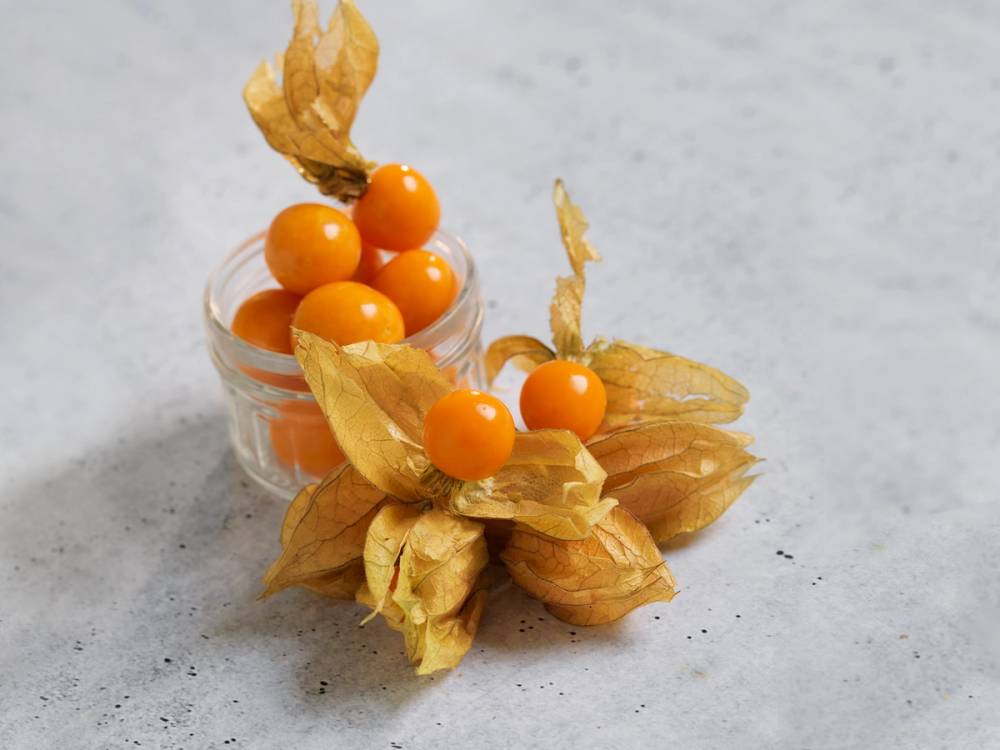 Physalis- frukter med oransje bær og papirtynne, gule blader rundt, plassert i et glass på en lys bakgrunn.