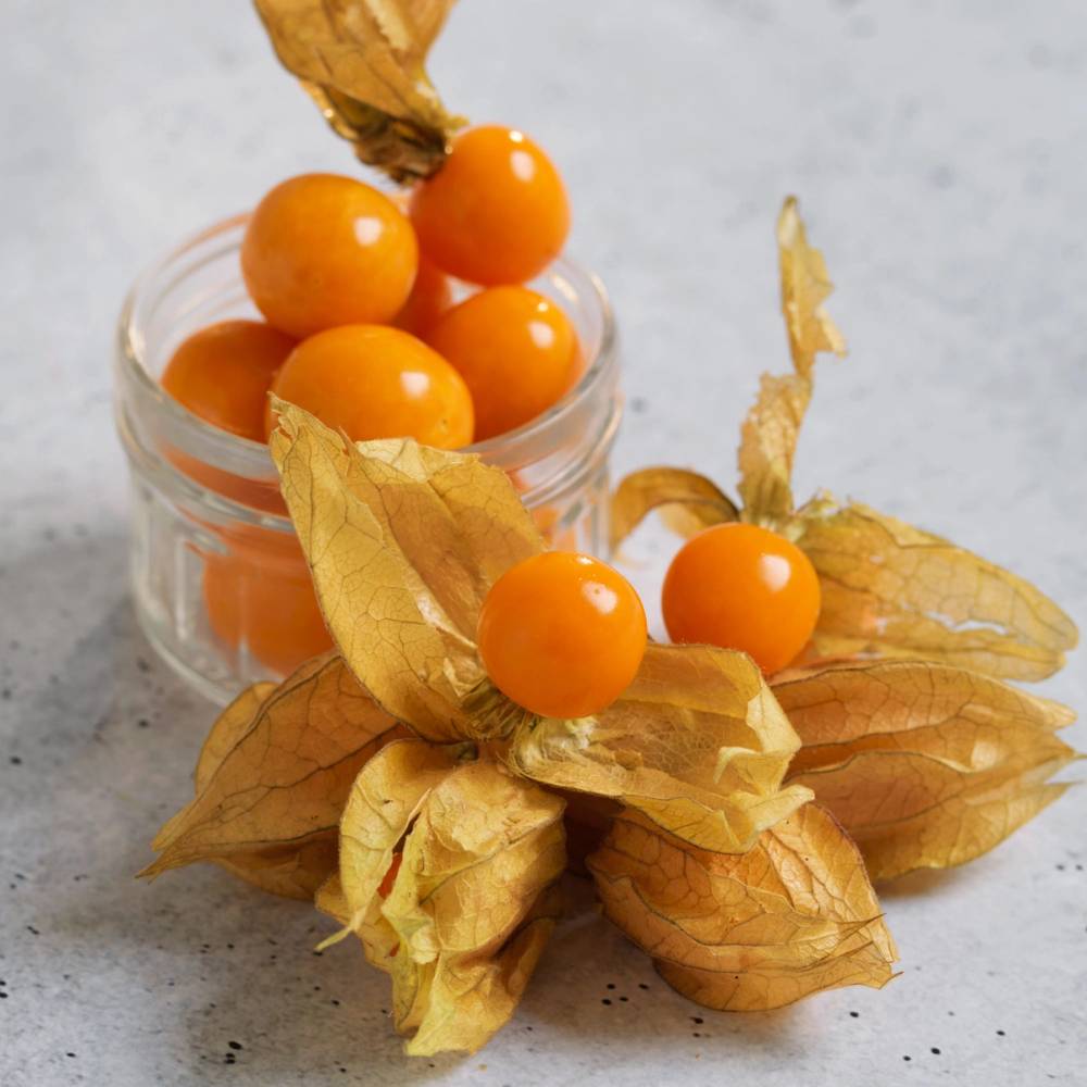 Physalis-kvister med oransje frukter i en liten glasskrukke, omgitt av tørre blader.