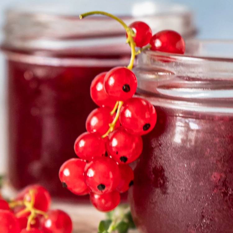 Klar glass med rød bær- eller fruktjuice med en bunt røde bær som stikker opp av glasskanten.