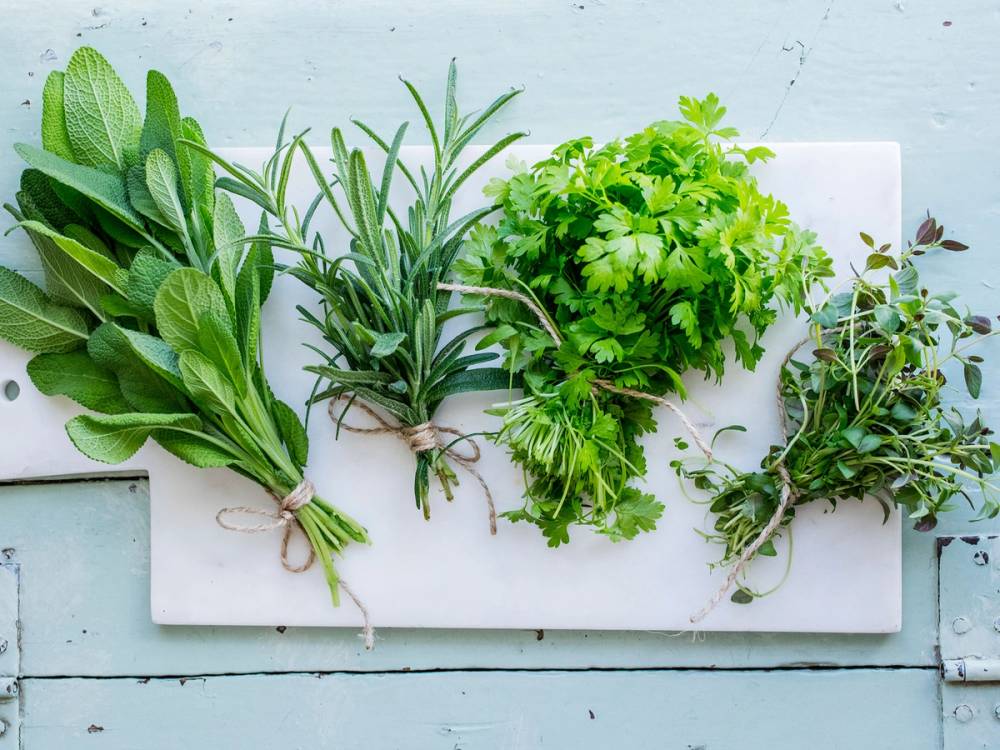 Ulike krydderurter som persille, timian, rosmarin og oregano lagt på et hvitt bord.