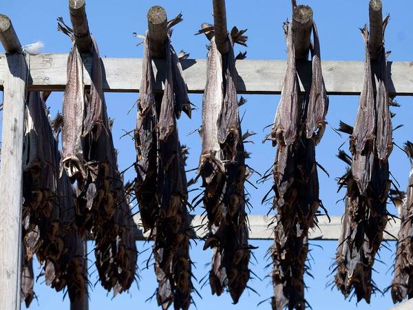 Lutefisk henger til tørk på en utendørs kleshenger mot en blå himmel.