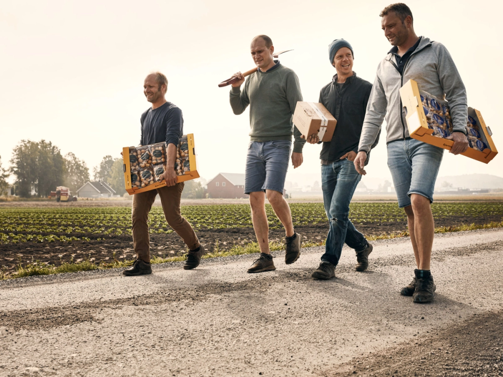 Fire personer går langs en landevei med jordbruksfelt i bakgrunnen, og de bærer esker og en kasse med poteter.