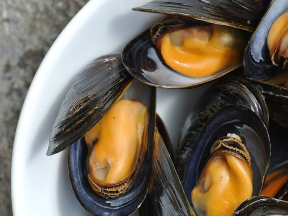 Skål med kokte blåskjell med åpen skjellskall og oransje kjøtt, sett fra toppen.