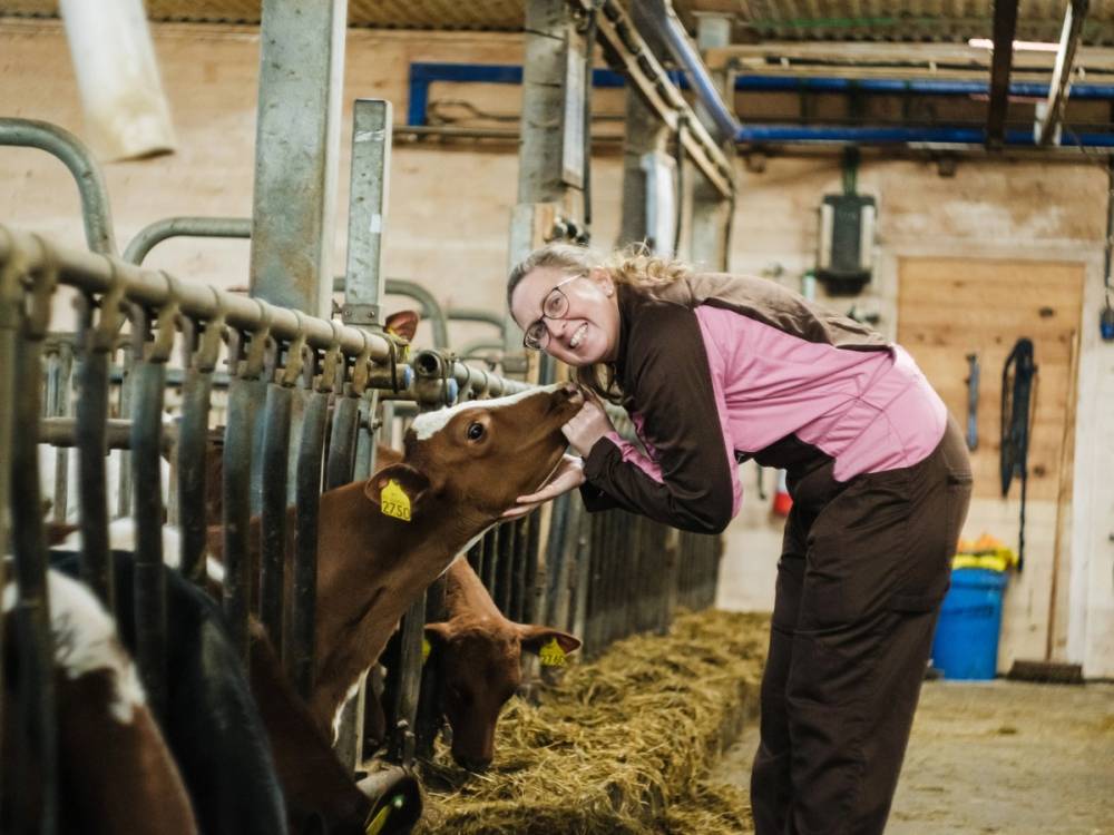 En kvinne smiler og mater en kalv i en fjøsmiljø med tre kalver og metalkarmer i bakgrunnen.