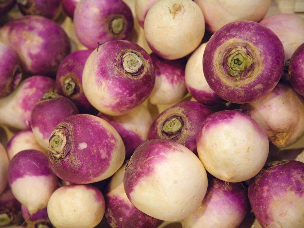 Fargerike neper i ulike nyanser av lilla, rosa og hvitt, samlet i en gruppe.