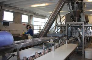 En person i blå arbeidsklær og hårbeskyttelse jobber i en fabrikk med produksjon av sild, med maskiner og utstyr rundt seg.