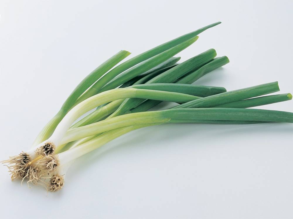 Ferske vårløk med hvite og grønne deler på en lys bakgrunn