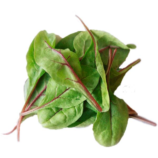 Ferske ripsbeter med grønne blader og røde stilker.