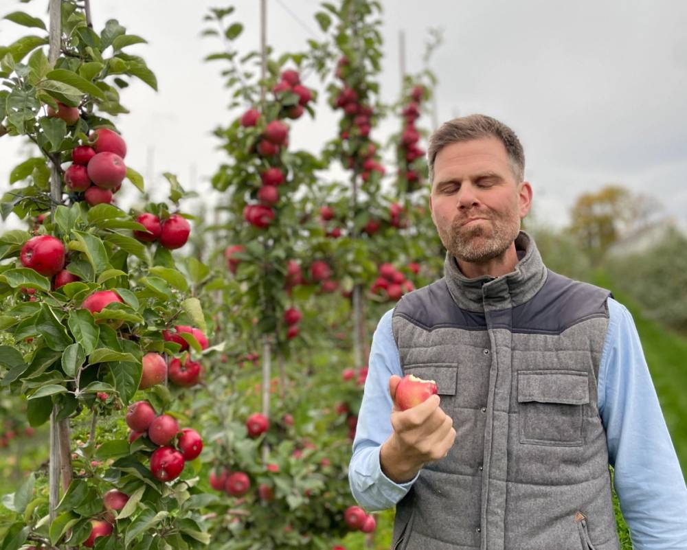 Mann spiser eple i eplehagen