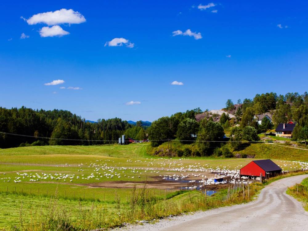 En fredelig landsby med grønne åkre, en liten vei og en rød låve under en klar blå himmel i Telemark.