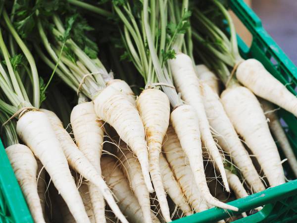 Persillerøtter med grønne blader i en grønn kurv