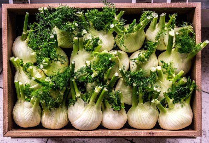 Fennikel med grønne blader i en trekurv, klar til bruk.