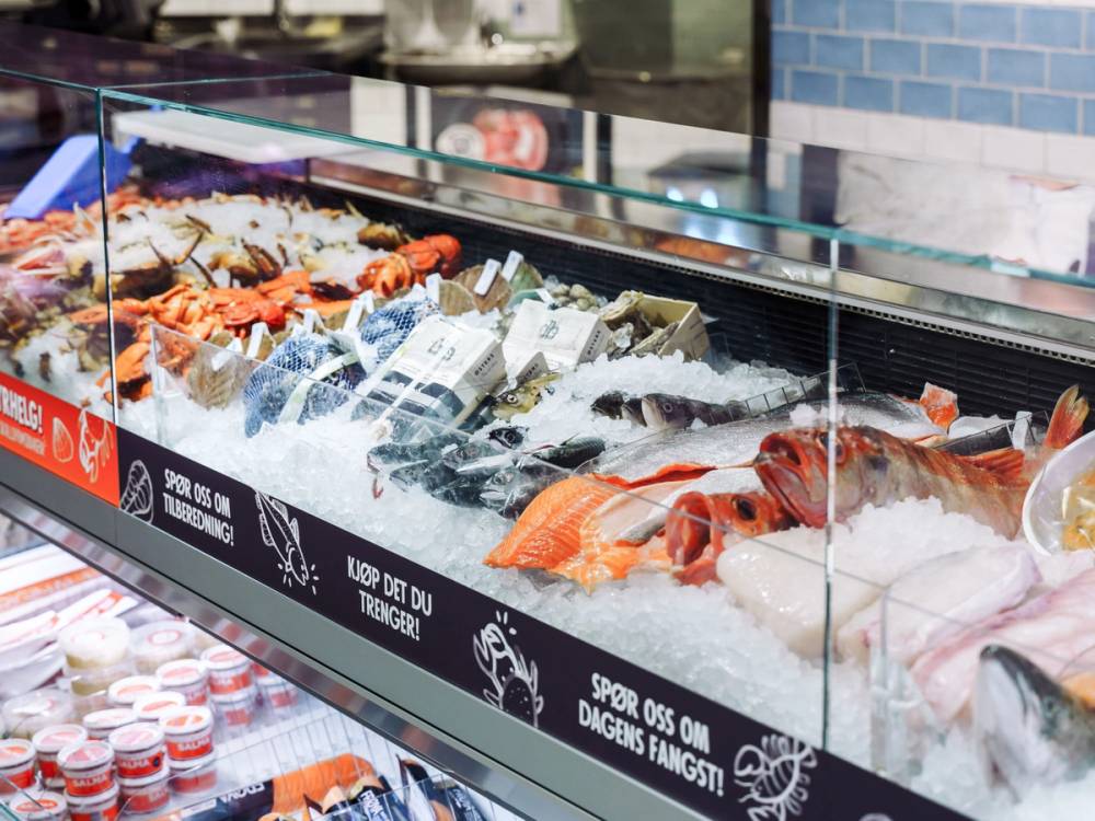 Fersk sjømat utstilt i en kjøledisk på MENY Frogner, med ulike typer fisk og skalldyr på isen.