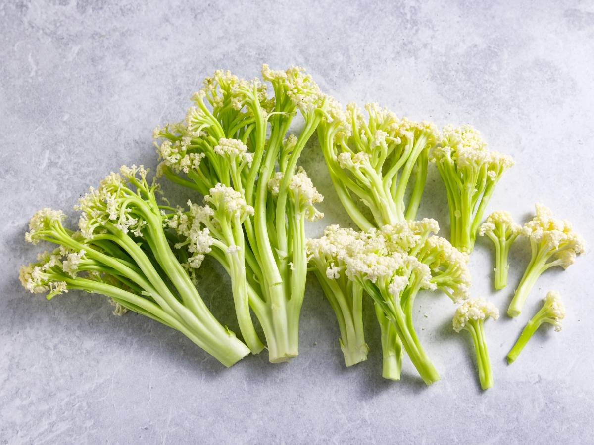 Buketter av blomkål med grønne stilker og hvite blomster, lagt på en lys grå bakgrunn.