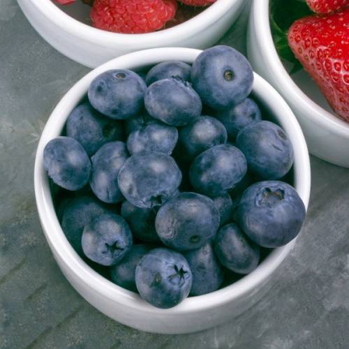 En skål med friske blåbær på et bord