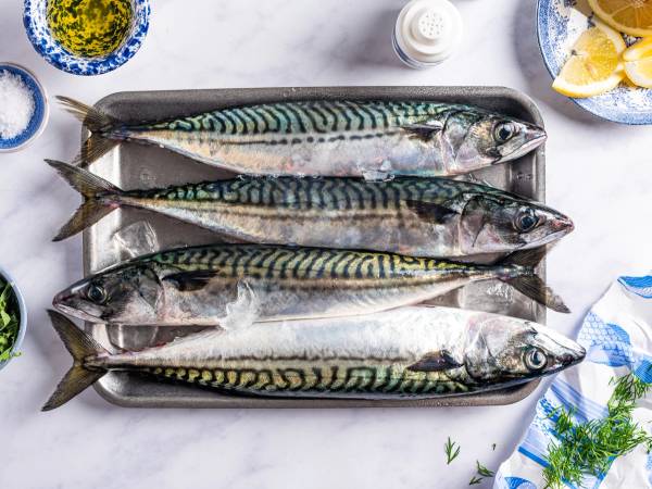 Fire makrellfisker ligger på en metallplate med sitronbåter og urter rundt, klar for tilberedning.