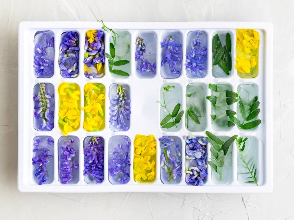 Fargede blomster og grønne blader i isbitformer, klare til å fryses.