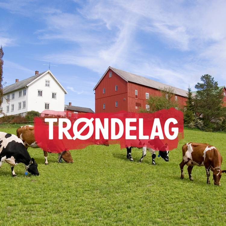Trøndelag