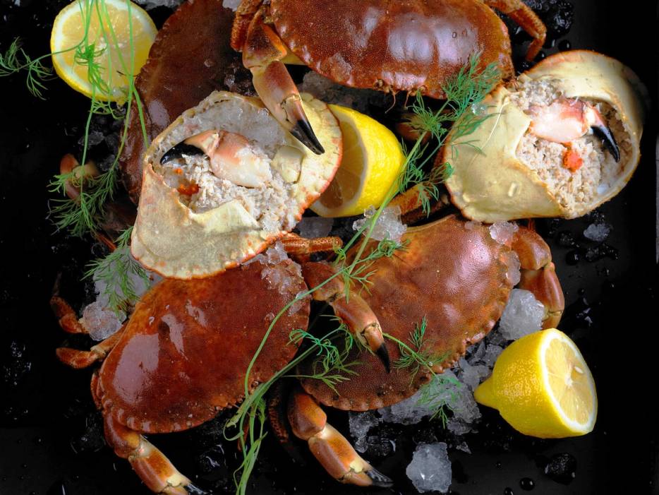 Krabber og krabbeskjell på et fat med sitronbåter og grønt garnityr.