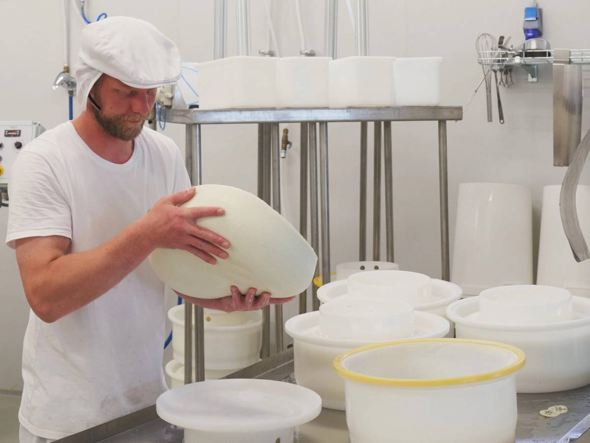 Person som håndterer ost på Ostebygda Hol ysteri, med flere ostekasser rundt seg.