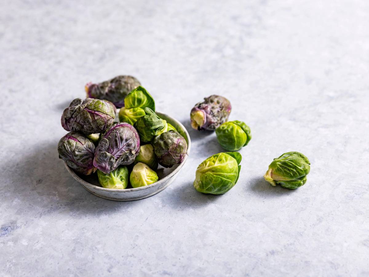 Rødkål og grønkål i en skål, med noen blader spredt rundt på en lys bakgrunn