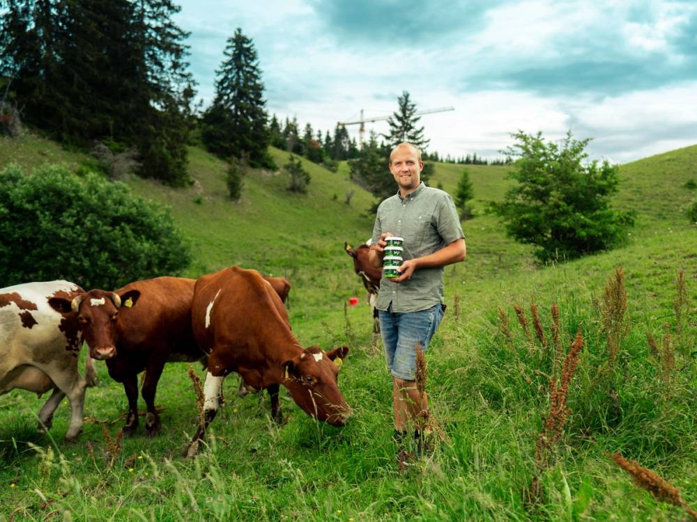 En person som står i en grønn eng med kuer, med trær og åser i bakgrunnen under en overskyet himmel.