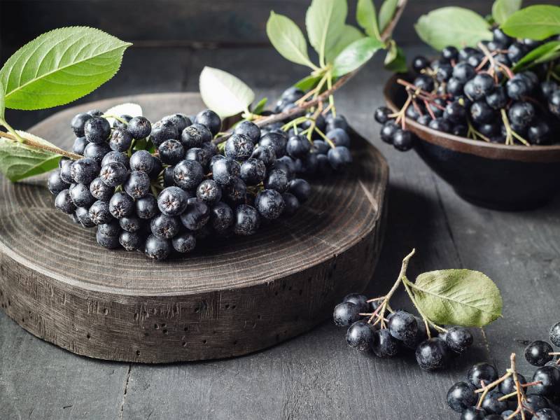 Svarte aroniabær på en treplate og i en skål, med grønne blader rundt