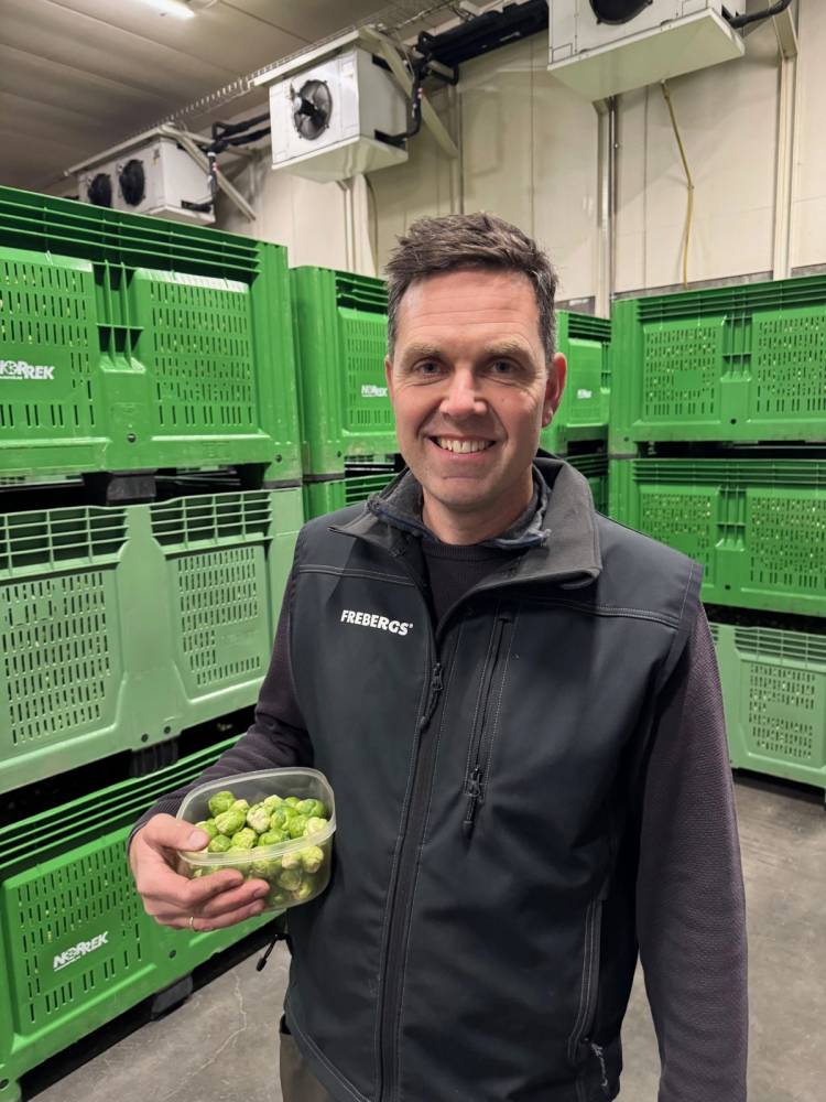 Person som holder en plastboks med rosenkål i en matvarebutikk eller lager, omgitt av grønne plastkasser.