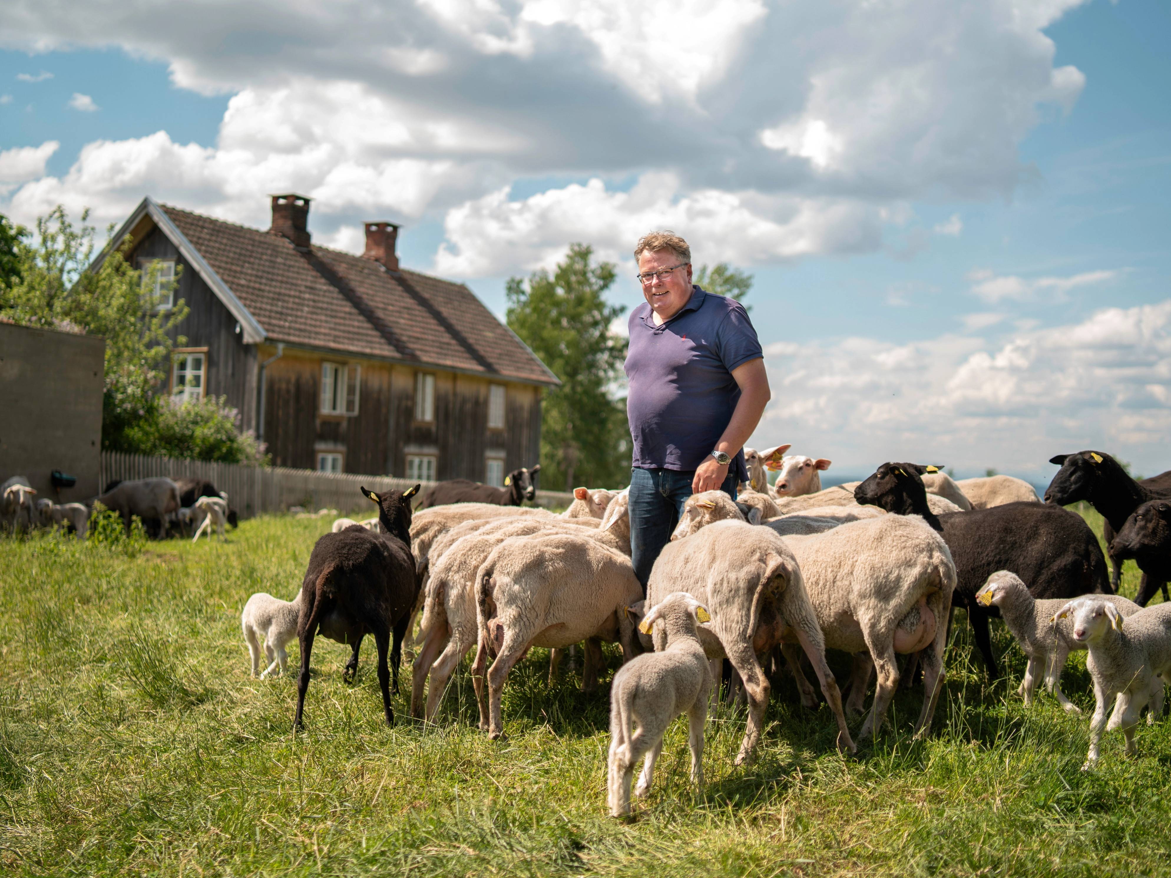 En mann står blant sauer på en grønn eng med et gammelt hus i bakgrunnen under en skyet himmel.