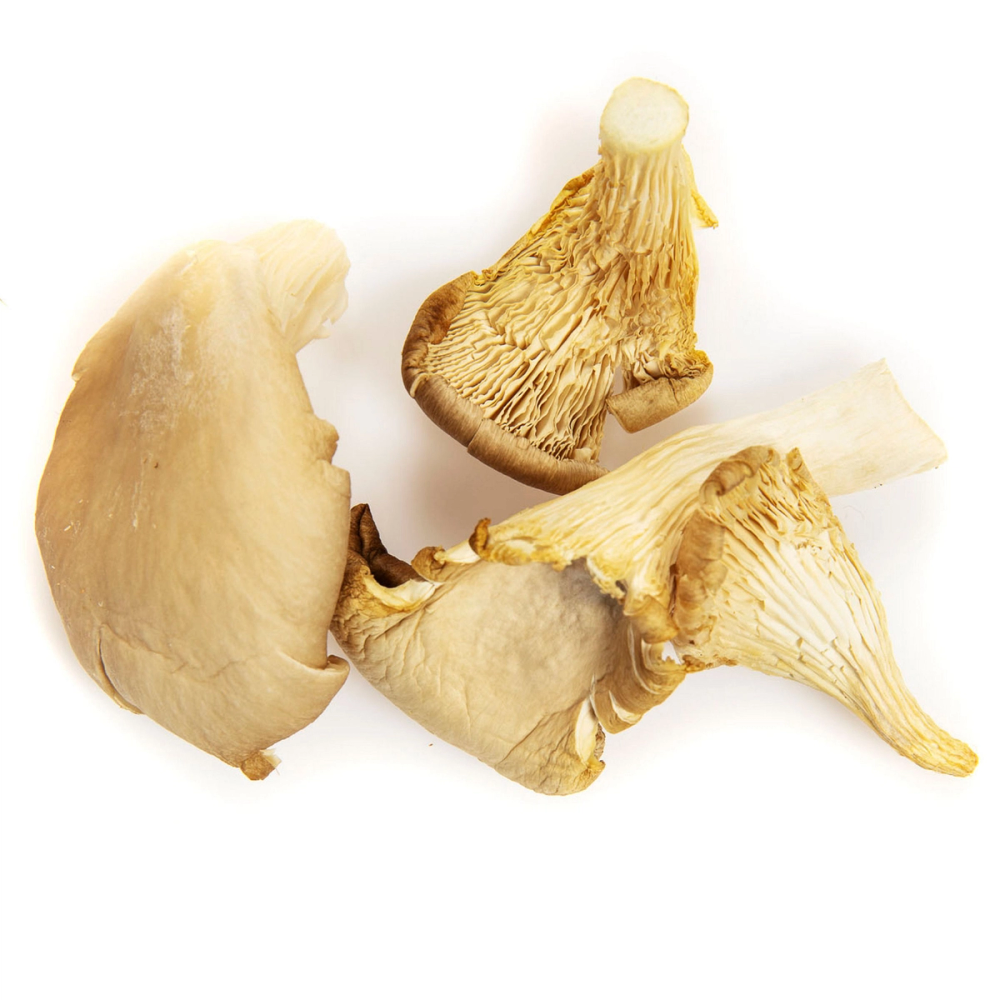 Tre shiitakesopp med lys farge og tekstur, plassert på en hvit bakgrunn.