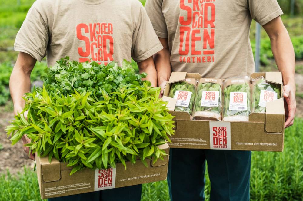 To personer holder hver sin eske med planter og potter, med en bakgrunn av grønt gress og trær, og de har på seg beige t-skjorter med rød tekst.
