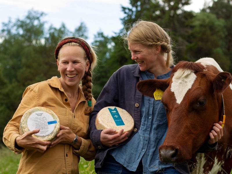 To personer står ute i naturen med en ku, og de holder hver sin ostekake eller ostekartong, mens de smiler mot hverandre.