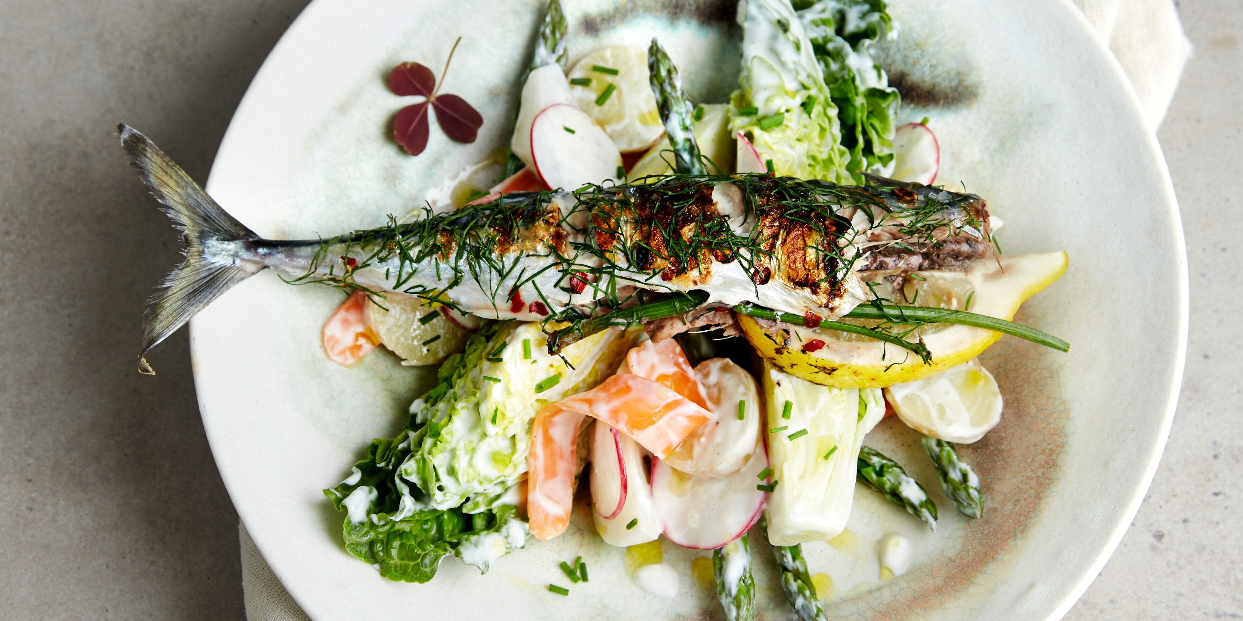 Grillet makrell servert med grønnsaker og urter på en hvit tallerken