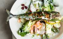 Grillet makrell servert med grønnsaker og urter på en hvit tallerken