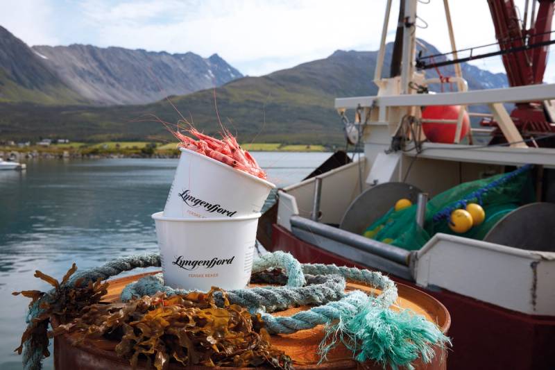 Fiskebåter ved en fjord med fjell i bakgrunnen, utstyr og tau på dekket, under en klar himmel.