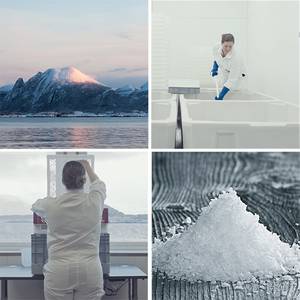 Forskere i hvite laboratoriefrakker jobber med is og snøprøver i et laboratorium, med et bilde av snø og is i en mikroskopisk nærbilde.