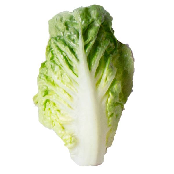 Hjertesalat med lyst grønt bladverk og en tydelig hjertelignende form