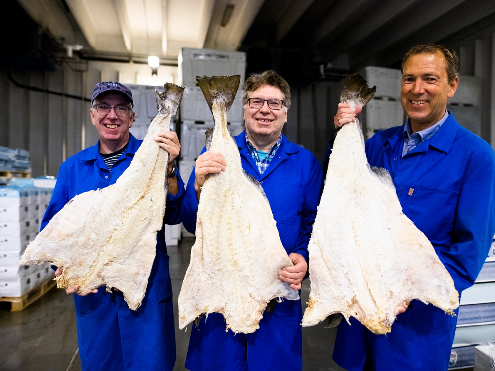 Tre personer i blå arbeidsklær viser store fiskestykker de har fått, med en industriell bakgrunn.