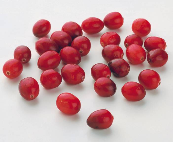 En gruppe tranebær spredt ut på en hvit bakgrunn