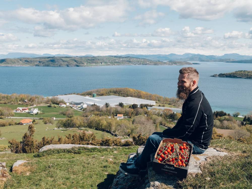 En person sitter på en klippe med utsikt over en innsjø og landskap, med en kurv med tomater ved siden av seg.