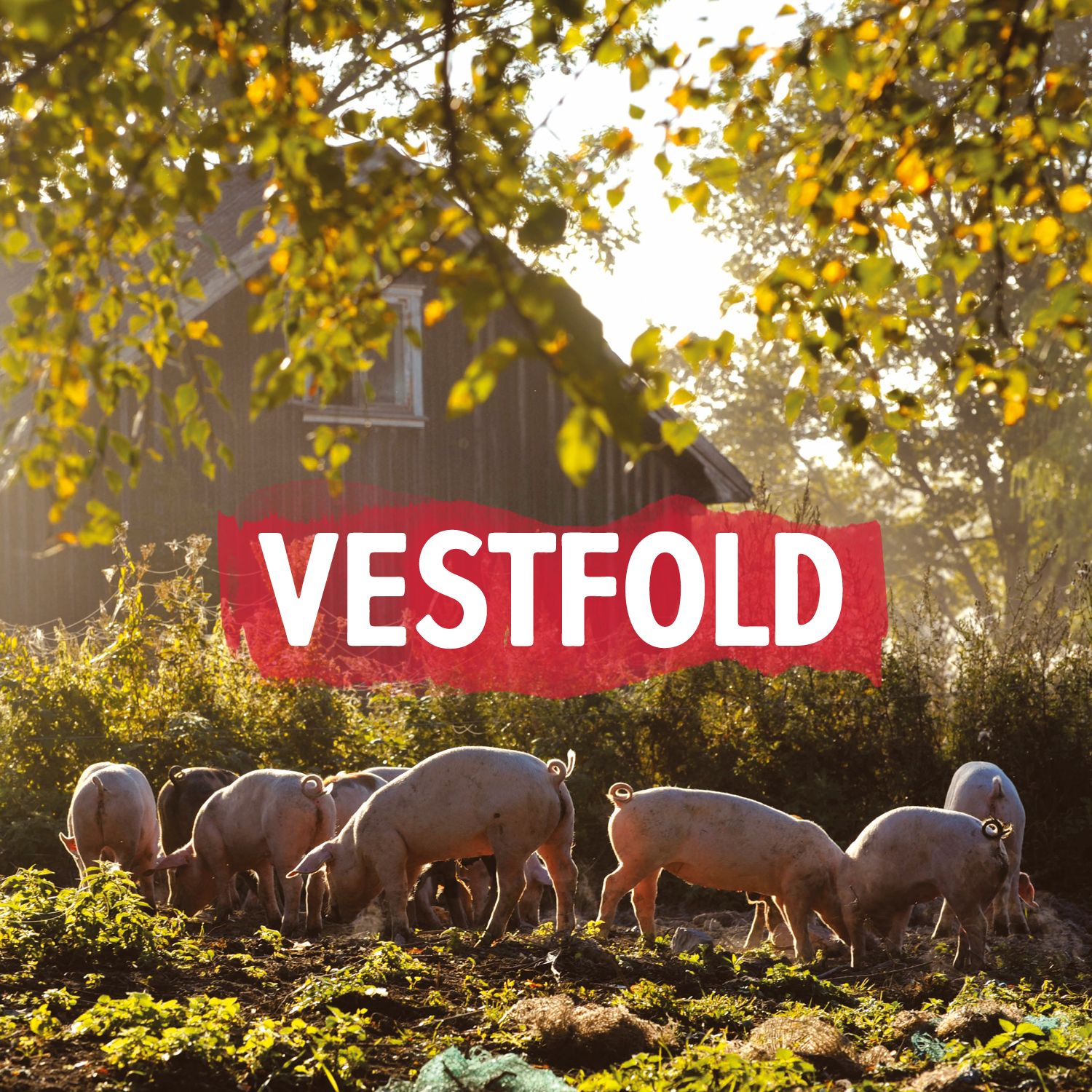 Vestfold