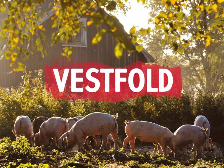 Vestfold
