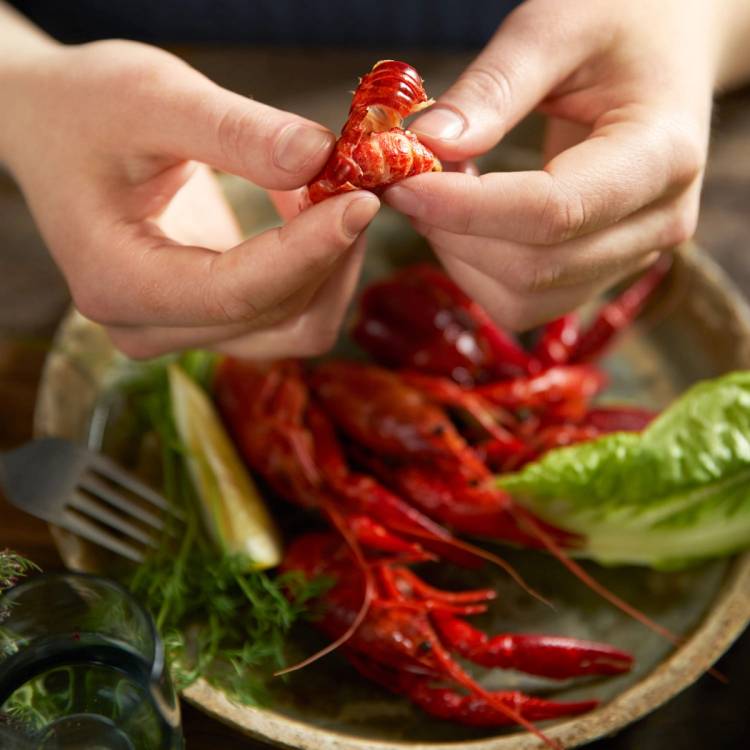 Hender holder en sjøkreps over en tallerken med flere sjøkreps og grønnsaker.
