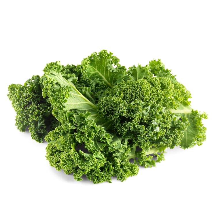 En haug med grønnkål med krøllete blader på en hvit bakgrunn